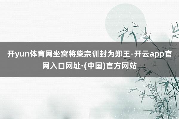 开yun体育网坐窝将柴宗训封为郑王-开云app官网入口网址·(中国)官方网站