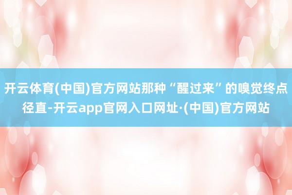 开云体育(中国)官方网站那种“醒过来”的嗅觉终点径直-开云app官网入口网址·(中国)官方网站