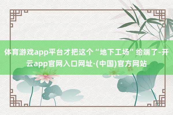 体育游戏app平台才把这个“地下工场”给端了-开云app官网入口网址·(中国)官方网站