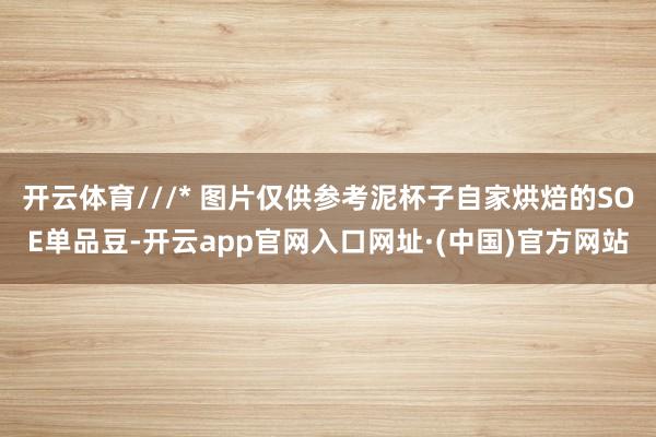 开云体育///* 图片仅供参考泥杯子自家烘焙的SOE单品豆-开云app官网入口网址·(中国)官方网站