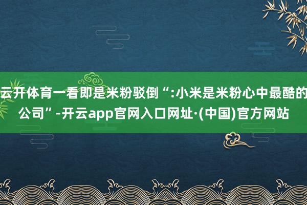 云开体育一看即是米粉驳倒“:小米是米粉心中最酷的公司”-开云app官网入口网址·(中国)官方网站