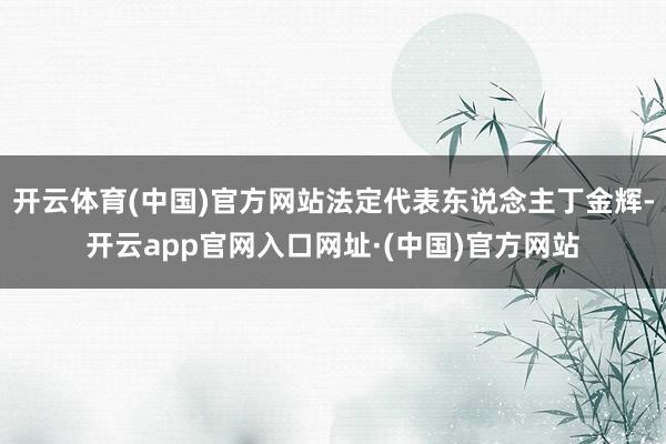 开云体育(中国)官方网站法定代表东说念主丁金辉-开云app官网入口网址·(中国)官方网站