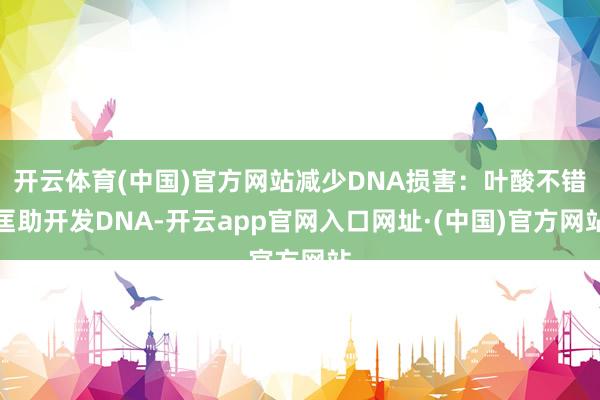 开云体育(中国)官方网站减少DNA损害:叶酸不错匡助开发DNA-开云app官网入口网址·(中国)官方网站