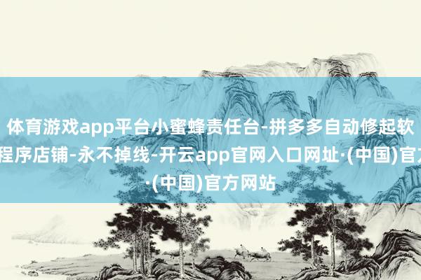 体育游戏app平台小蜜蜂责任台-拼多多自动修起软件-不程序店铺-永不掉线-开云app官网入口网址·(中国)官方网站